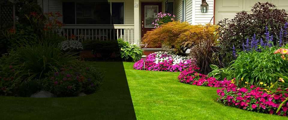 Glenwood Landscapers